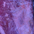 A close-up of a raw briskett meat cut wrapped in clear plastic, showing pink-red muscle tissue with white fat marbling.