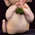 A whole raw chicken photographed from above on a black surface, with a small green parsley garnish placed on its chest.